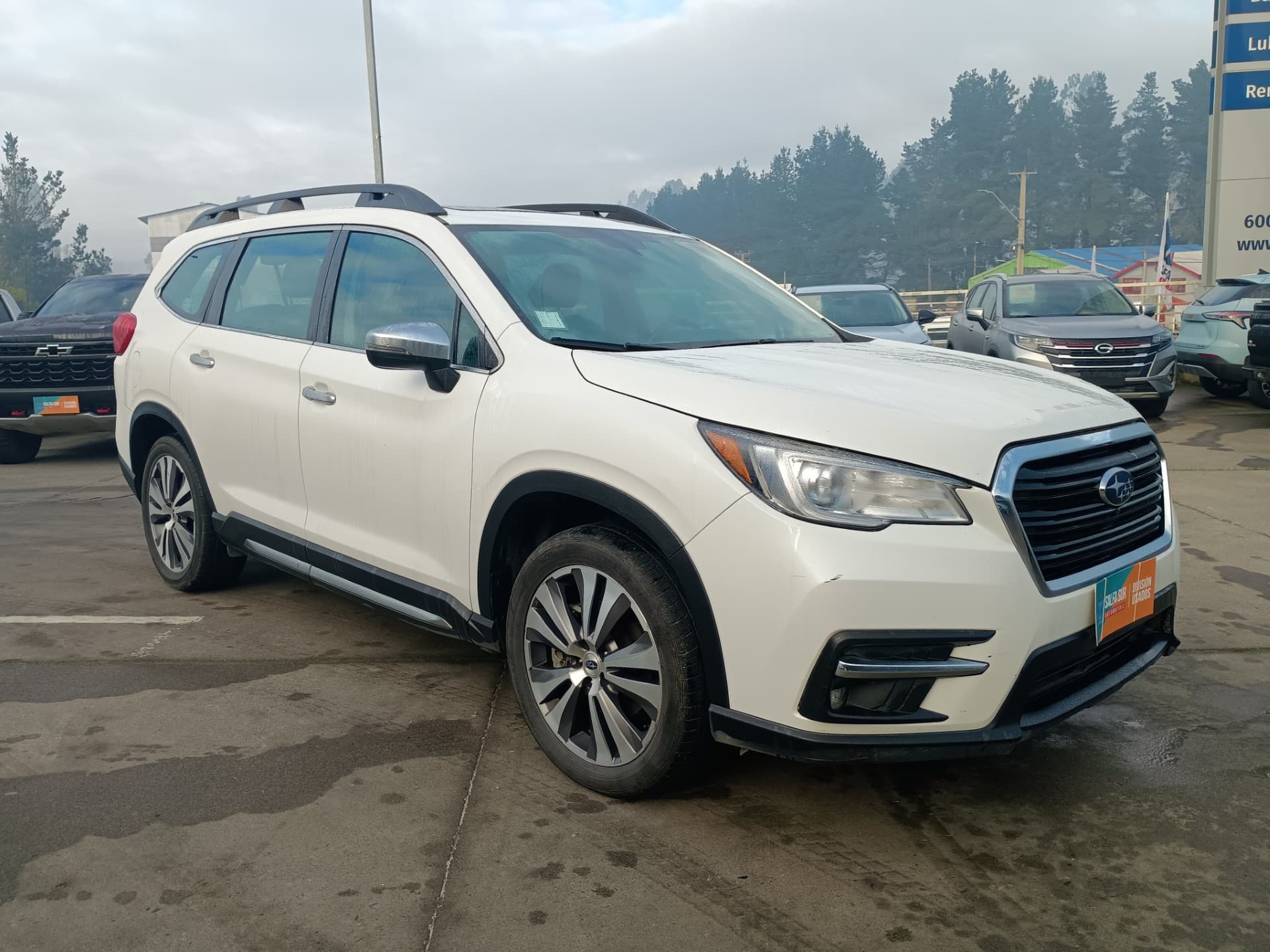 SUBARU EVOLTIS TOURING - Vista 3