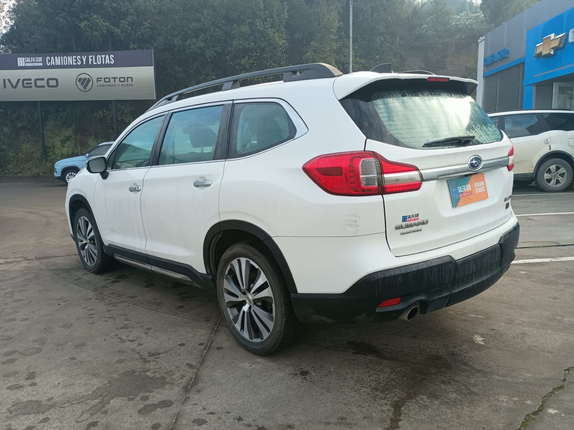 SUBARU EVOLTIS TOURING - Vista 6