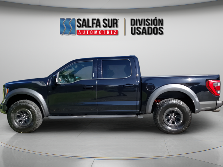 FORD F150 RAPTOR 4X4 - Vista 1