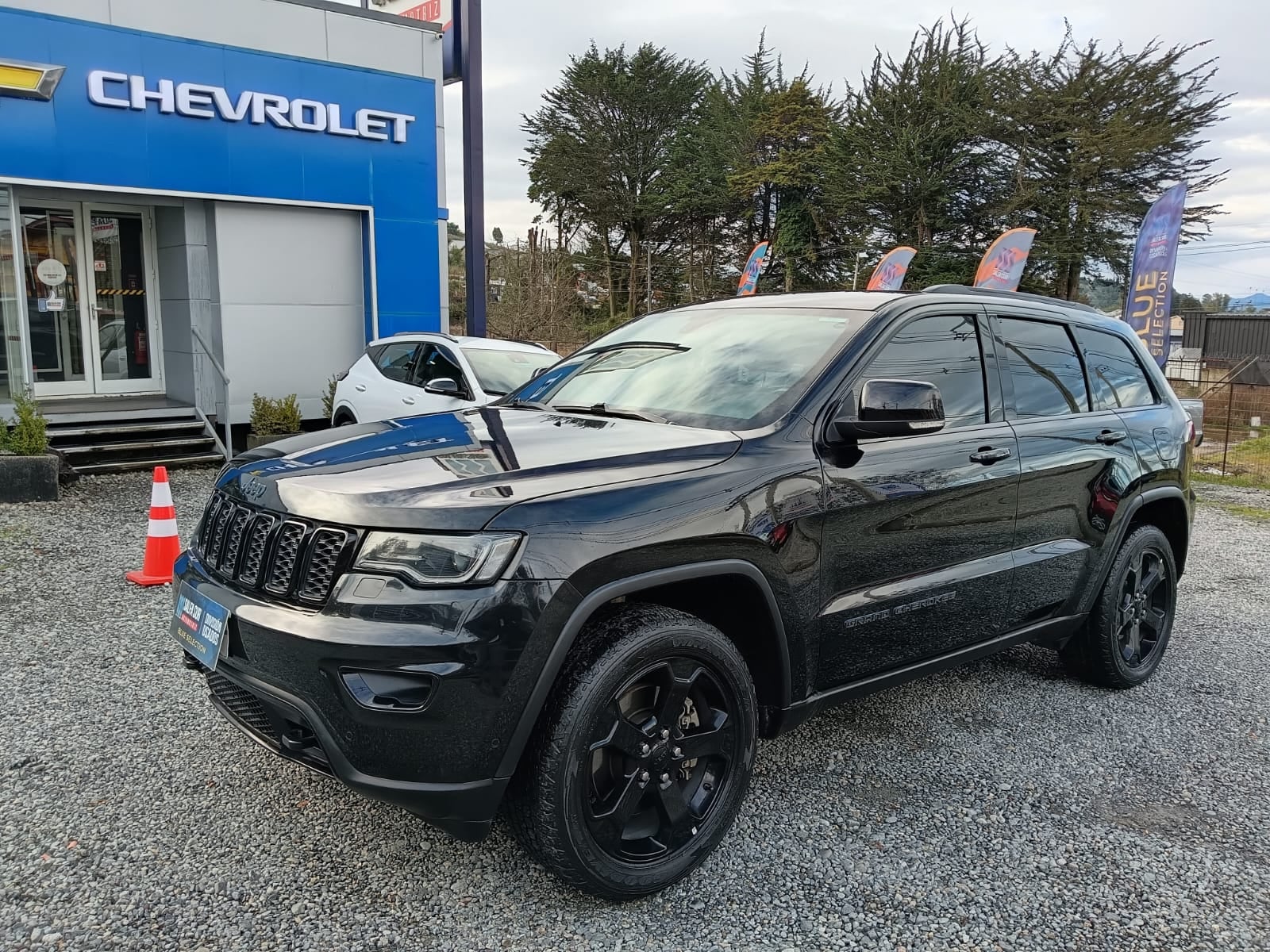 JEEP GRAND CHEROKEE  2019 - Vista 1