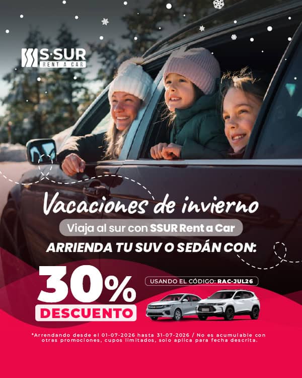 Banner promocional móvil 1 - Salfa Sur